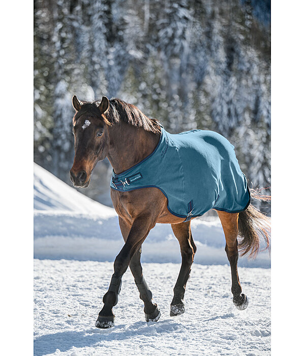 Fleece-Walker Activity