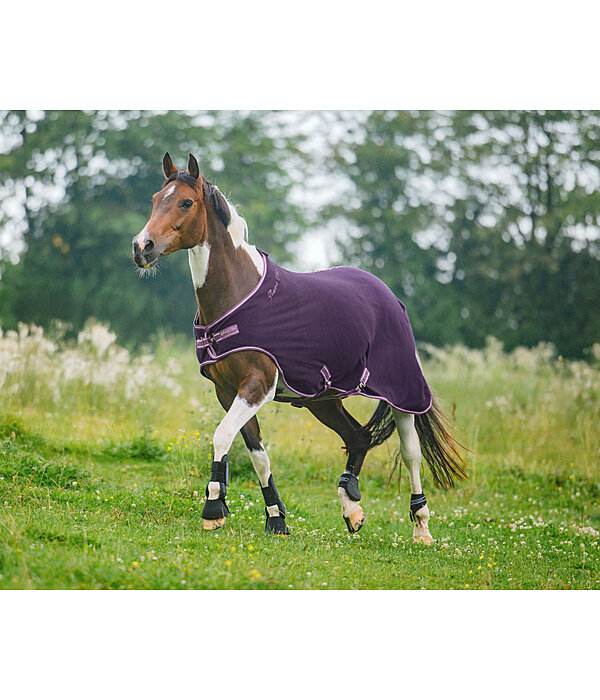 Fleece-Walker Activity