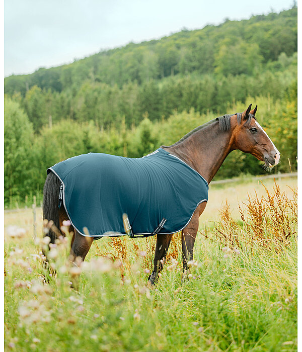 Fleece-Walker Activity