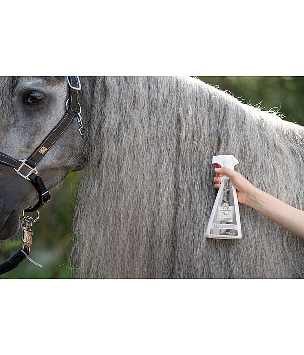 Schweifspray Classic