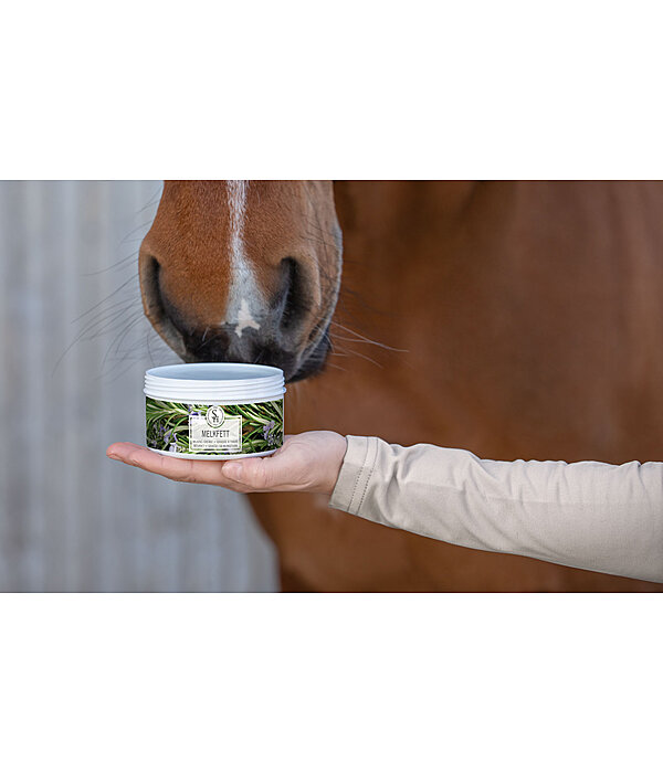 Melkfett für Pferde