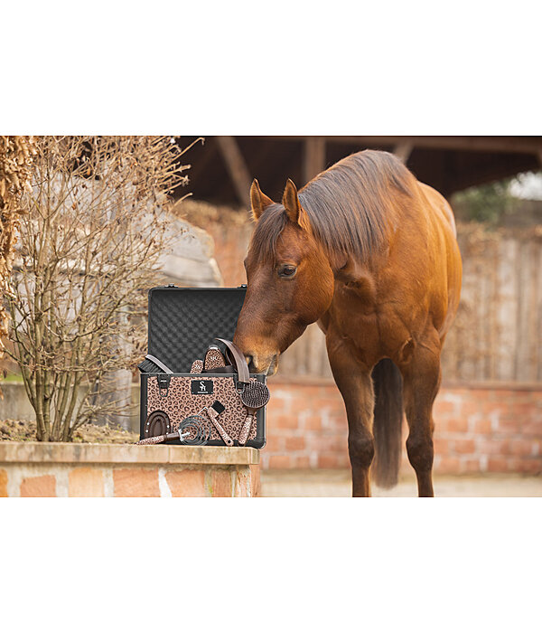 Putzbox Leo