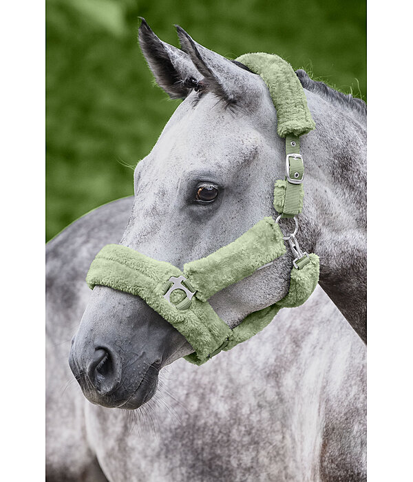 Teddyfleece-Halfter Protection