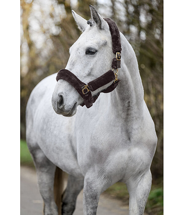 Teddyfleece-Halfter Protection