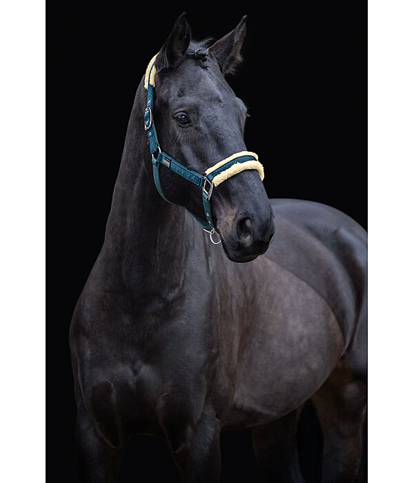Halfter Sparkling II