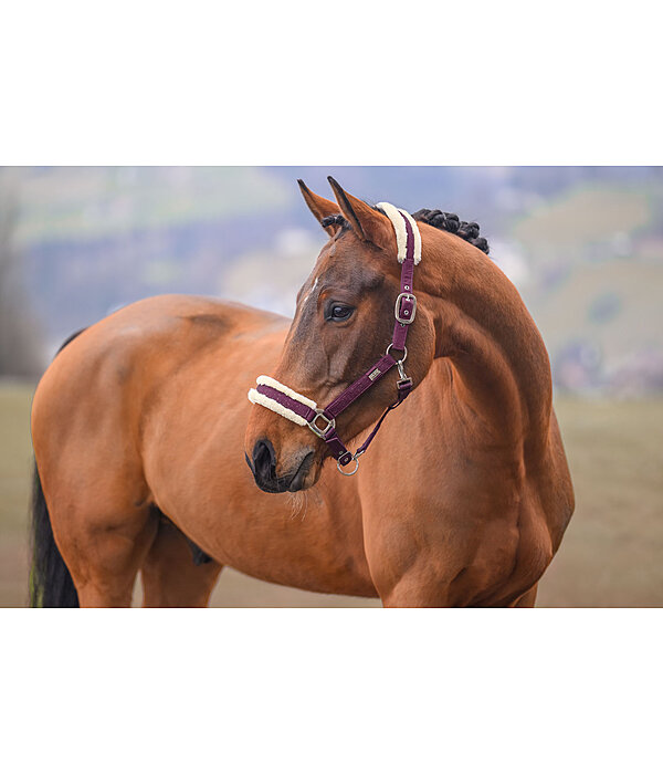 Halfter Sparkling II
