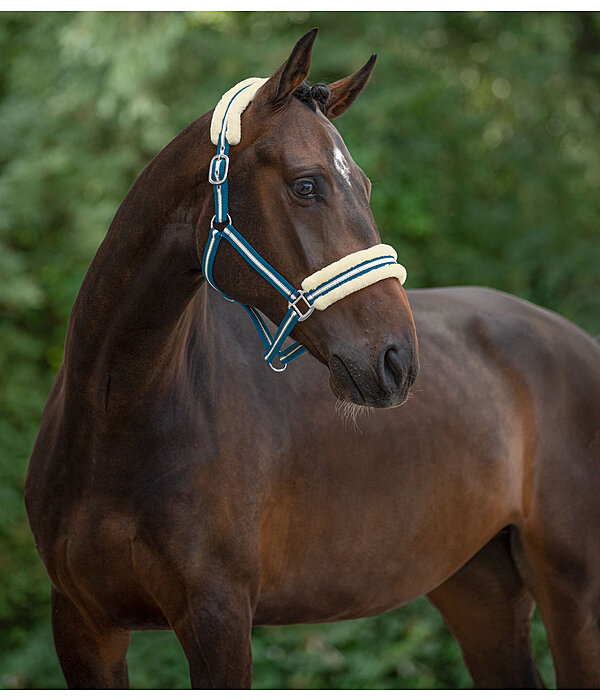 Halfter Shimmering Stripes