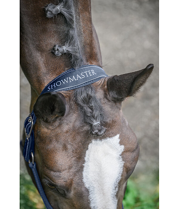 Halfter Cloud