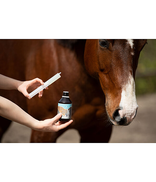 Krutersaft  Bronchial Booster