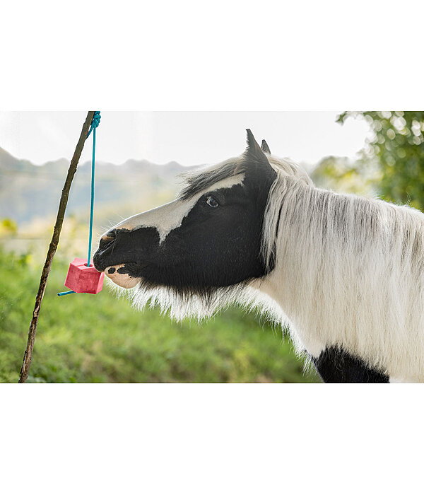 Lolly-Leckstein Wassermelone