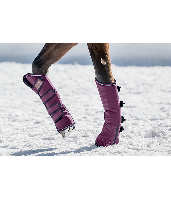 Transportgamaschen Kilian