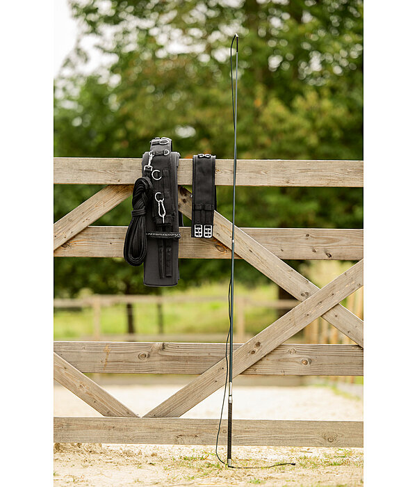 Teleskop-Longierpeitsche Ultralight