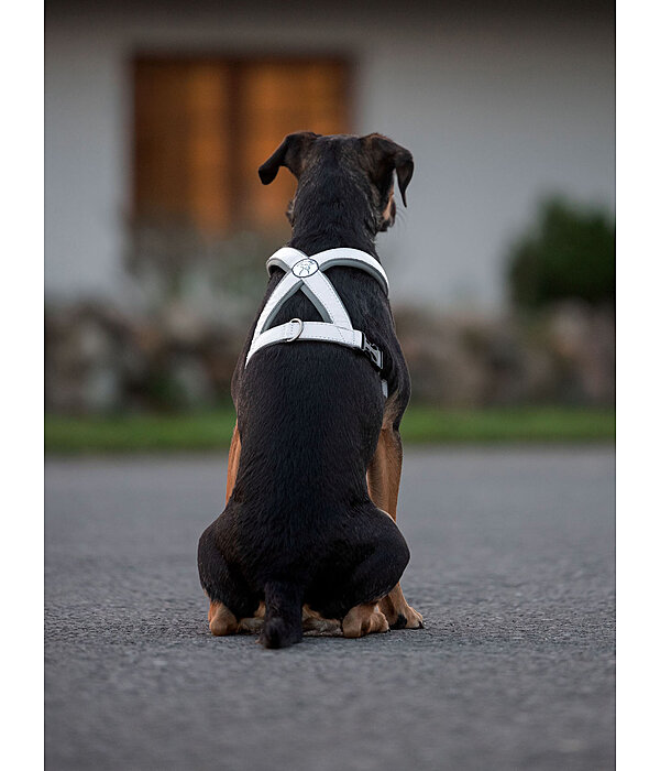 Reflex Hundegeschirr
