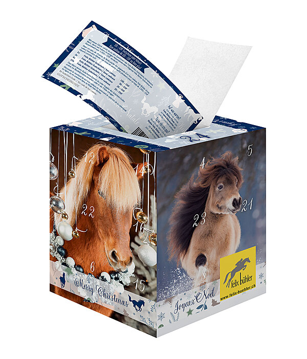 Adventskalender mit 10.- Gutschein oder hher