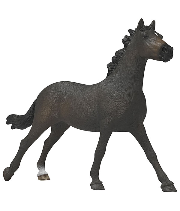 Englische Vollblut Stute