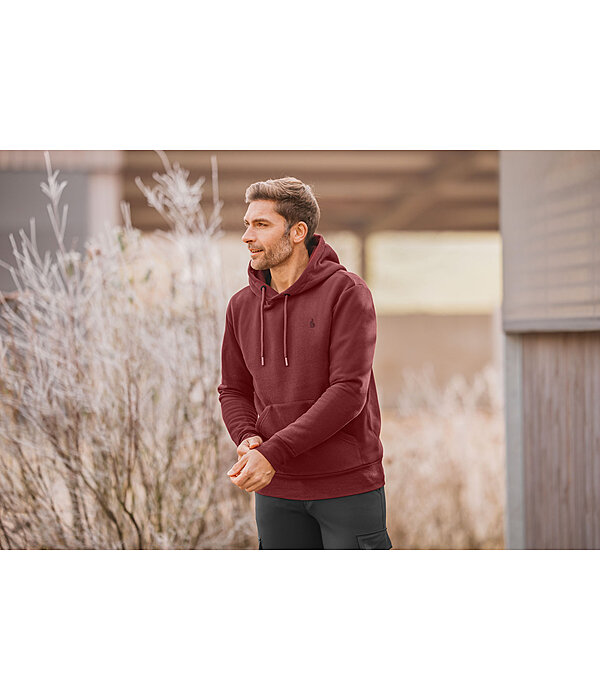 Herren-Hoodie Oregon